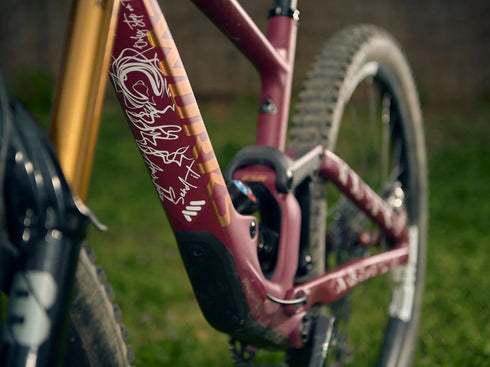 AMS Frame Guard Extra